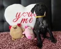 processed/71023850-bcdb-4e87-a0ff-e43a1f655fe2/listing/9ec6ca14-0ef0-4526-acbd-7bfee76d8898/a69b0f28-f902-47dc-95d7-332a7b8d9135