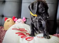 processed/71023850-bcdb-4e87-a0ff-e43a1f655fe2/listing/9ec6ca14-0ef0-4526-acbd-7bfee76d8898/adda8fa7-1b20-4f12-8231-bdf978d2e624