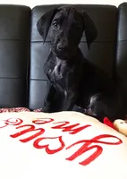 processed/71023850-bcdb-4e87-a0ff-e43a1f655fe2/listing/e916259b-3c1f-4feb-bb25-d8f6036f461f/8b03da43-e648-4989-8cc8-0d2de478eb82