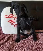 processed/71023850-bcdb-4e87-a0ff-e43a1f655fe2/listing/e916259b-3c1f-4feb-bb25-d8f6036f461f/9c3d2ff4-80ec-446d-aec5-f5759e4de90e