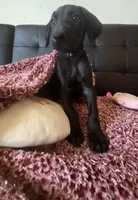 processed/71023850-bcdb-4e87-a0ff-e43a1f655fe2/listing/e916259b-3c1f-4feb-bb25-d8f6036f461f/b98c1822-4f7e-443d-8ef5-784e7d7432a6