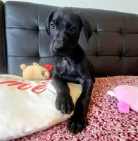 processed/71023850-bcdb-4e87-a0ff-e43a1f655fe2/listing/e916259b-3c1f-4feb-bb25-d8f6036f461f/c4a9cab4-5d27-4826-93c6-f735ce2e0bce