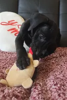 processed/71023850-bcdb-4e87-a0ff-e43a1f655fe2/listing/e916259b-3c1f-4feb-bb25-d8f6036f461f/db963ccf-e7d4-4576-83c3-fb1b79ce2f72