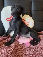 processed/71023850-bcdb-4e87-a0ff-e43a1f655fe2/listing/e916259b-3c1f-4feb-bb25-d8f6036f461f/fe2e980c-7aaf-4d41-baf6-0d5a20dec64f