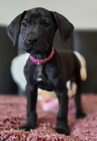 processed/71023850-bcdb-4e87-a0ff-e43a1f655fe2/listing/fb6dd3ef-95c9-467f-b280-514a8eb5822c/09fe6640-f39d-466d-9a6b-2ec31cbbd283