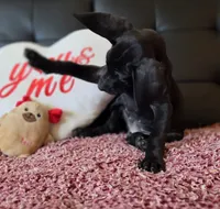 processed/71023850-bcdb-4e87-a0ff-e43a1f655fe2/listing/fb6dd3ef-95c9-467f-b280-514a8eb5822c/33e095b9-9dfe-4177-866e-0358848c4a6a