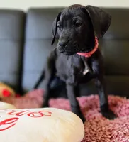 processed/71023850-bcdb-4e87-a0ff-e43a1f655fe2/listing/fb6dd3ef-95c9-467f-b280-514a8eb5822c/41deaf63-ad26-412e-8601-ae5585adc9c9