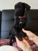 processed/71023850-bcdb-4e87-a0ff-e43a1f655fe2/listing/fb6dd3ef-95c9-467f-b280-514a8eb5822c/627b5329-9379-43e0-995b-0df2277b586b