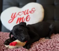 processed/71023850-bcdb-4e87-a0ff-e43a1f655fe2/listing/fb6dd3ef-95c9-467f-b280-514a8eb5822c/6be307e8-526e-4a38-870c-e91bc8bb966a