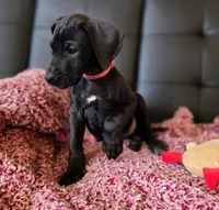 processed/71023850-bcdb-4e87-a0ff-e43a1f655fe2/listing/fb6dd3ef-95c9-467f-b280-514a8eb5822c/a20d6589-554b-4c78-88c2-59ee3c996b45