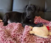 processed/71023850-bcdb-4e87-a0ff-e43a1f655fe2/listing/fb6dd3ef-95c9-467f-b280-514a8eb5822c/cd2337a9-9c92-42ca-ba73-c9b622c9d1e4