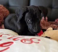 processed/71023850-bcdb-4e87-a0ff-e43a1f655fe2/listing/fb6dd3ef-95c9-467f-b280-514a8eb5822c/e874457d-e634-4ee7-bc30-83aff95160bb