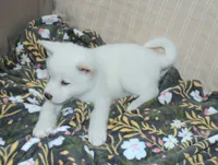 processed/710248aa-332d-48ae-a39c-c32555d37dbc/listing/060b825f-314f-4d87-86cc-b9762ceda82a/6475fce0-734e-4677-ad50-10c91e68184b