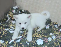 processed/710248aa-332d-48ae-a39c-c32555d37dbc/listing/060b825f-314f-4d87-86cc-b9762ceda82a/651af834-5c42-4214-a9f0-68ef82f1259d