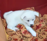 processed/710248aa-332d-48ae-a39c-c32555d37dbc/listing/289822b4-198d-471e-93a9-7f010b027758/1abf5e63-0263-44ba-aeaf-c9a58733b46c