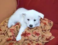 processed/710248aa-332d-48ae-a39c-c32555d37dbc/listing/289822b4-198d-471e-93a9-7f010b027758/5438d0b3-cbb5-4995-a7ce-8d43e4e0be89