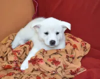 processed/710248aa-332d-48ae-a39c-c32555d37dbc/listing/289822b4-198d-471e-93a9-7f010b027758/9fc6cd4e-5d28-48fe-b987-711aada80999