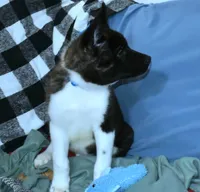 processed/710248aa-332d-48ae-a39c-c32555d37dbc/listing/81c3308b-b9c3-47ee-9a85-5b8eb3485d21/3c24d5f6-fa77-4114-84bc-fd4a580ef25d