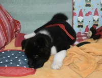 processed/710248aa-332d-48ae-a39c-c32555d37dbc/listing/81c3308b-b9c3-47ee-9a85-5b8eb3485d21/65ea0b9b-dbd3-4e02-97cc-c3f3144c7550