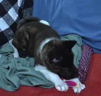 processed/710248aa-332d-48ae-a39c-c32555d37dbc/listing/81c3308b-b9c3-47ee-9a85-5b8eb3485d21/82c3d840-4eba-483d-9715-04e92f001088