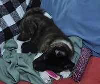 processed/710248aa-332d-48ae-a39c-c32555d37dbc/listing/81c3308b-b9c3-47ee-9a85-5b8eb3485d21/88c012a5-13fe-4b88-8815-8d35ce69b757