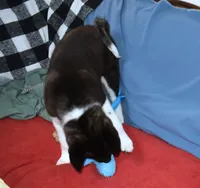 processed/710248aa-332d-48ae-a39c-c32555d37dbc/listing/81c3308b-b9c3-47ee-9a85-5b8eb3485d21/9b8f959e-262d-4ac1-bf64-56467cf50a93