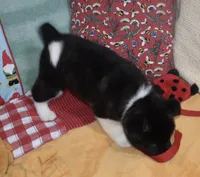 processed/710248aa-332d-48ae-a39c-c32555d37dbc/listing/81c3308b-b9c3-47ee-9a85-5b8eb3485d21/c6e21a9a-96d5-4c0a-97f7-63ae8f78b016