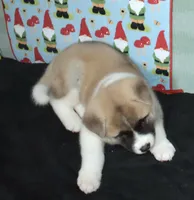 processed/710248aa-332d-48ae-a39c-c32555d37dbc/listing/8fe3d69d-e872-44ad-bc79-37a0e90aa252/09a86003-b420-432f-835a-6d4f4234e626