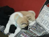 processed/710248aa-332d-48ae-a39c-c32555d37dbc/listing/8fe3d69d-e872-44ad-bc79-37a0e90aa252/84d66ca4-b337-411b-a5a8-cea568720b59