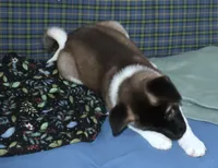 processed/710248aa-332d-48ae-a39c-c32555d37dbc/listing/a9dcb2af-c403-4f73-a1aa-3fee6b00b1e4/af4a0275-4aec-49d8-9855-c3bbcc166cfa