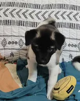 processed/710248aa-332d-48ae-a39c-c32555d37dbc/listing/a9dcb2af-c403-4f73-a1aa-3fee6b00b1e4/b1f755c0-6bd3-4a02-a277-2942b7f4096f