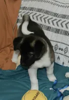 processed/710248aa-332d-48ae-a39c-c32555d37dbc/listing/a9dcb2af-c403-4f73-a1aa-3fee6b00b1e4/be1180a7-6416-419c-b2d2-6b4ad4e2faa6