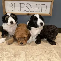 processed/71042cb3-8eaf-41db-8f9c-a75a58c50dce/facility/1ad75c7d-c3cc-440f-a915-916980976fae