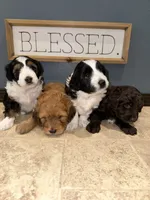 processed/71042cb3-8eaf-41db-8f9c-a75a58c50dce/facility/1ad75c7d-c3cc-440f-a915-916980976fae