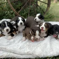 processed/71042cb3-8eaf-41db-8f9c-a75a58c50dce/facility/ba0a7eab-12b4-45aa-ac1c-15262e0daf6a