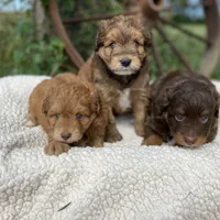 processed/71042cb3-8eaf-41db-8f9c-a75a58c50dce/facility/d38746e8-b1b5-4d49-85d6-0a1acfe7c82c