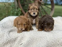 processed/71042cb3-8eaf-41db-8f9c-a75a58c50dce/facility/d38746e8-b1b5-4d49-85d6-0a1acfe7c82c