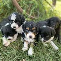 processed/71042cb3-8eaf-41db-8f9c-a75a58c50dce/facility/f18abae2-2fbf-4866-8a06-96cbf368fd75