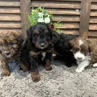 processed/71042cb3-8eaf-41db-8f9c-a75a58c50dce/facility/f46cfc43-1568-4661-9919-d1572c0effb0