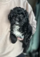 processed/71042cb3-8eaf-41db-8f9c-a75a58c50dce/listing/96312d74-52c9-440d-90c7-79e39da3a977/26de3879-e89d-442a-ba90-5095be8d77f5