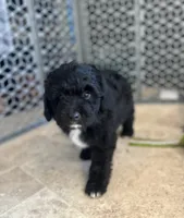 processed/71042cb3-8eaf-41db-8f9c-a75a58c50dce/listing/96312d74-52c9-440d-90c7-79e39da3a977/cfab32ed-047d-469c-ad81-1a8d777aef42