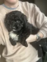 processed/71042cb3-8eaf-41db-8f9c-a75a58c50dce/listing/96312d74-52c9-440d-90c7-79e39da3a977/ee08b932-541b-4c2f-9d95-2326121d49d3