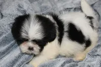 processed/710f3103-6256-4224-8f9e-2998f247cac3/listing/3d0c3867-8f2e-4ba1-98ab-6dc1108a2a63/83940d92-4bc2-400e-b6bc-ae66df664f70