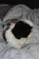 processed/710f3103-6256-4224-8f9e-2998f247cac3/listing/3d0c3867-8f2e-4ba1-98ab-6dc1108a2a63/d568a7ad-daa7-478d-a75e-72b730aec21b