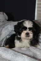 processed/710f3103-6256-4224-8f9e-2998f247cac3/listing/e3271f45-b0f9-4061-8a89-690f84f81f1d/95ae1b43-8a52-4dbc-ba31-93ae7b2117de