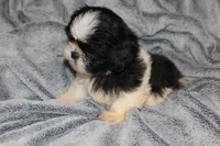 processed/710f3103-6256-4224-8f9e-2998f247cac3/listing/e3271f45-b0f9-4061-8a89-690f84f81f1d/d783f0df-bf76-410a-baf1-b6205f51476b