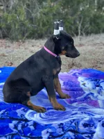 processed/71112d43-dd22-4530-a272-0ae6bb235ffa/listing/367ad2b5-9184-4697-b656-aa6cd8257c22/180d5f93-6049-42a3-a9e9-f3ffa36339e1