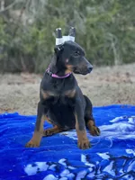 processed/71112d43-dd22-4530-a272-0ae6bb235ffa/listing/367ad2b5-9184-4697-b656-aa6cd8257c22/32a67c3e-3591-4ad1-8d38-f459950983e1