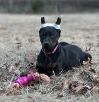 processed/71112d43-dd22-4530-a272-0ae6bb235ffa/listing/367ad2b5-9184-4697-b656-aa6cd8257c22/3b0fa1af-cee8-4f1c-8322-b42da0ca85d3