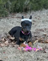 processed/71112d43-dd22-4530-a272-0ae6bb235ffa/listing/367ad2b5-9184-4697-b656-aa6cd8257c22/9d03b1ab-1620-4edd-894d-157016829c48